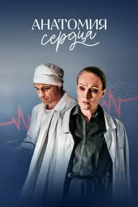 Смотреть Анатомия сердца 